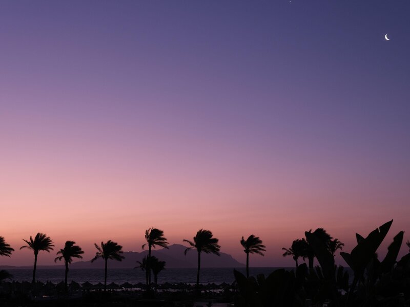 Baron Resort Sharm El Sheikh 41