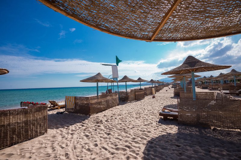 Imperial Shams Abu Soma 17