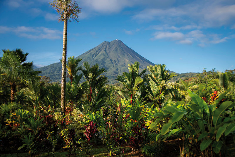 Arenal Manoa & Hot Springs Resort 12