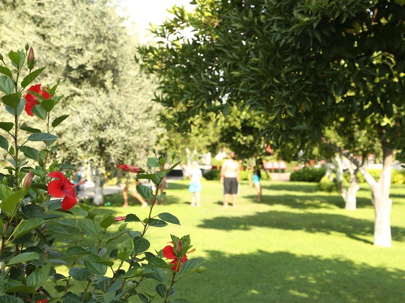 Garden Resort Bergamot 6