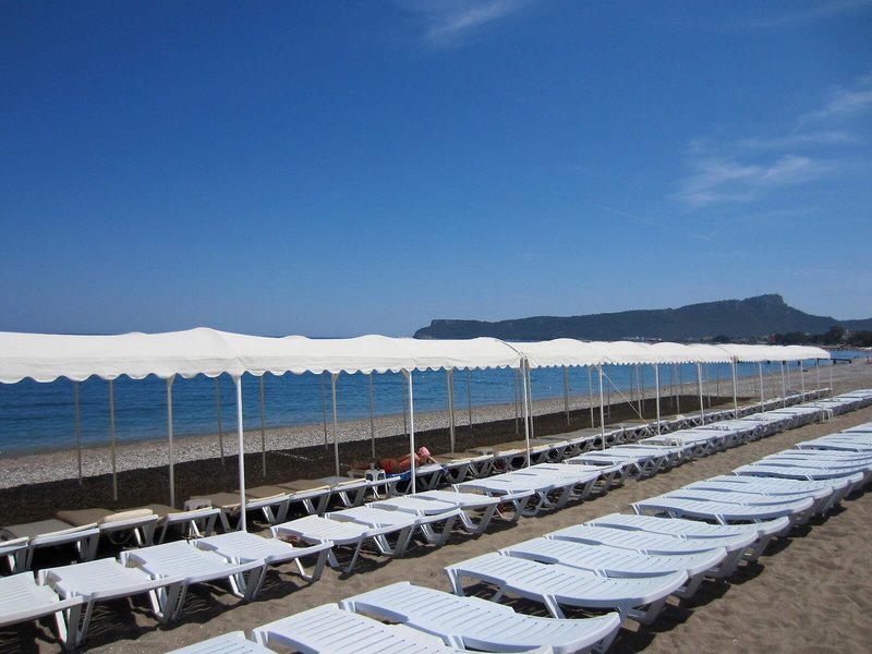 Garden Resort Bergamot 12
