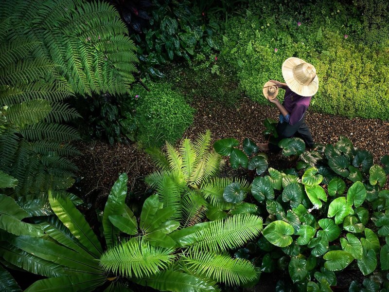 Ratilanna Riverside Spa Resort 7