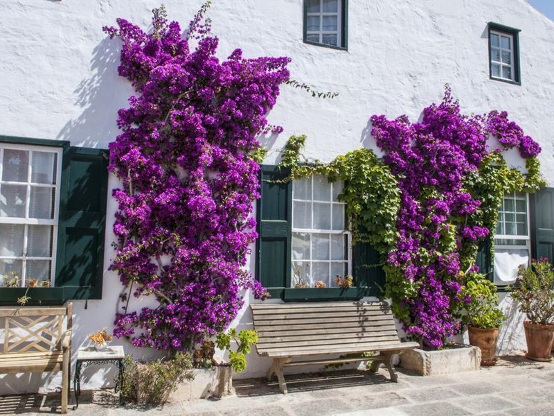 Hotel Rural Biniarroca 6