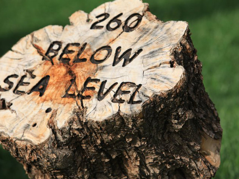 Ma'in Hot Springs Resort & Spa 9