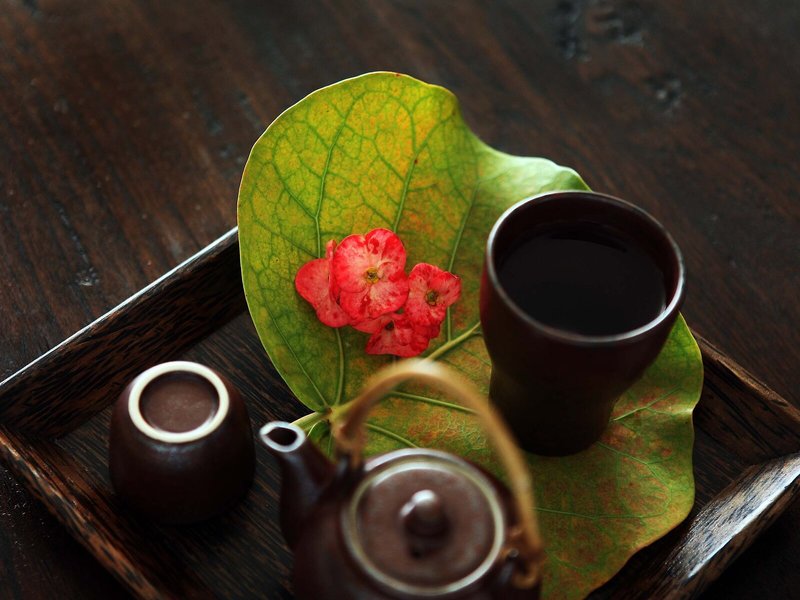 Tortuga Bay Puntacana Resort & Club 35