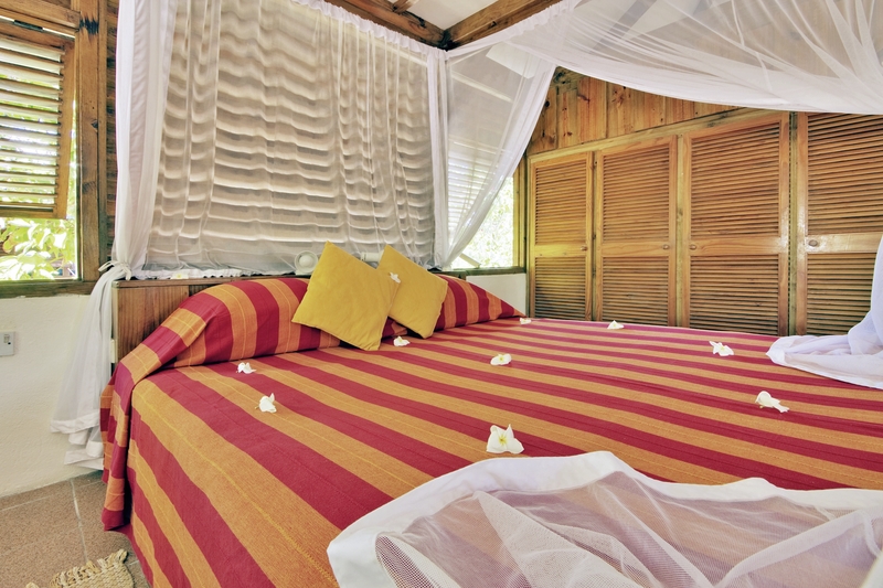 Bird Island, Seychelles 5