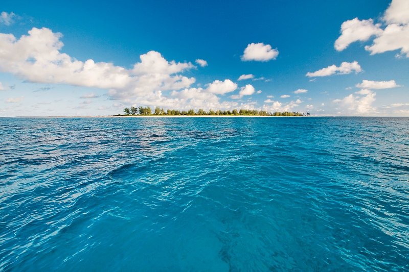Bird Island, Seychelles 9