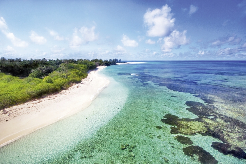 Bird Island, Seychelles 10