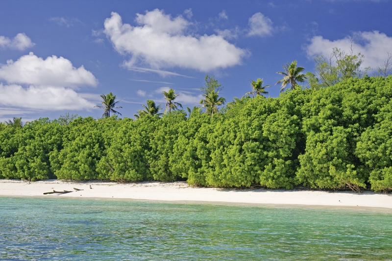 Bird Island, Seychelles 11