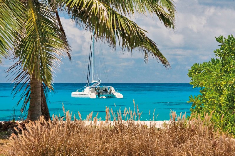 Bird Island, Seychelles 13