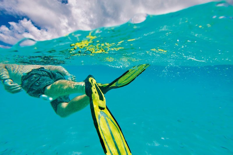 Bird Island, Seychelles 15