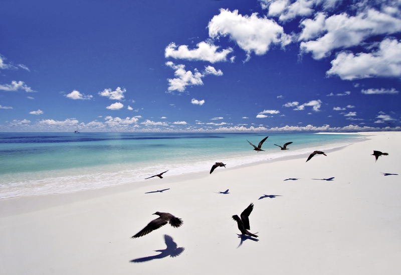Bird Island, Seychelles 19