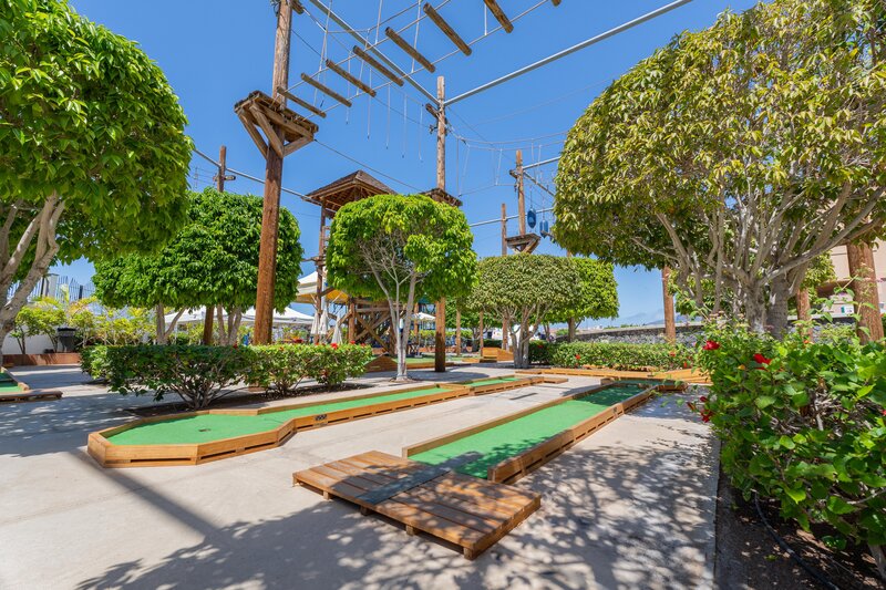 Landmar Costa Los Gigantes 38