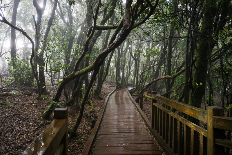 Be Live Family Costa Los Gigantes 68