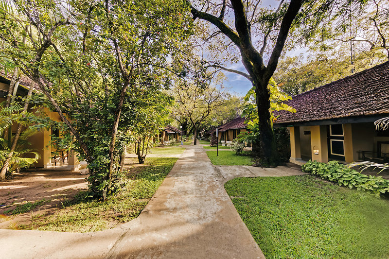 Habarana Village by Cinnamon 12