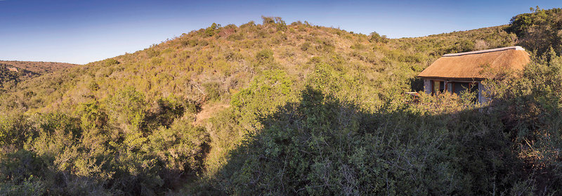 Lalibela Game Reserve 4