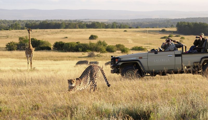 Lalibela Game Reserve 12