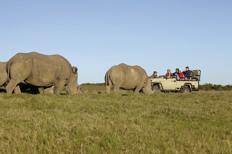 Lalibela Game Reserve 18
