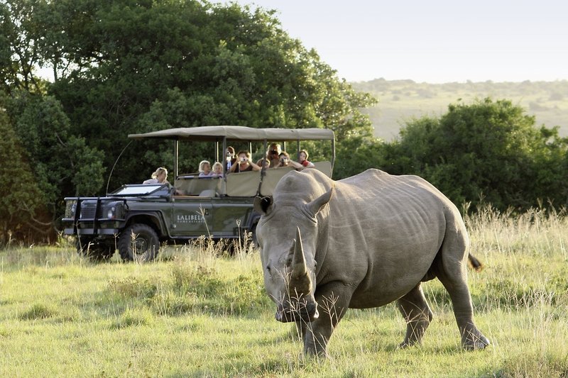 Lalibela Game Reserve 19