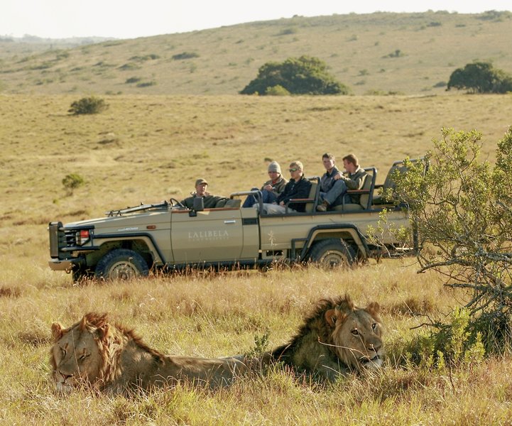 Lalibela Game Reserve 20