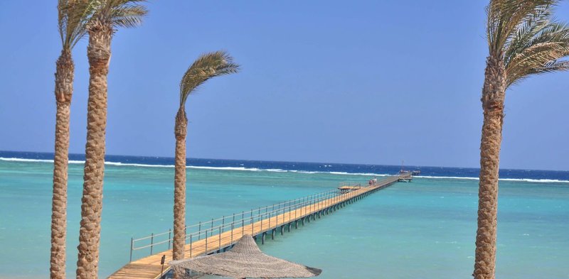 Elphistone Resort 17