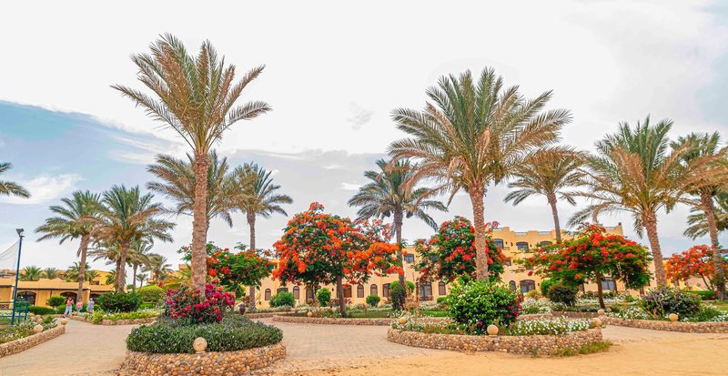 Elphistone Resort 19