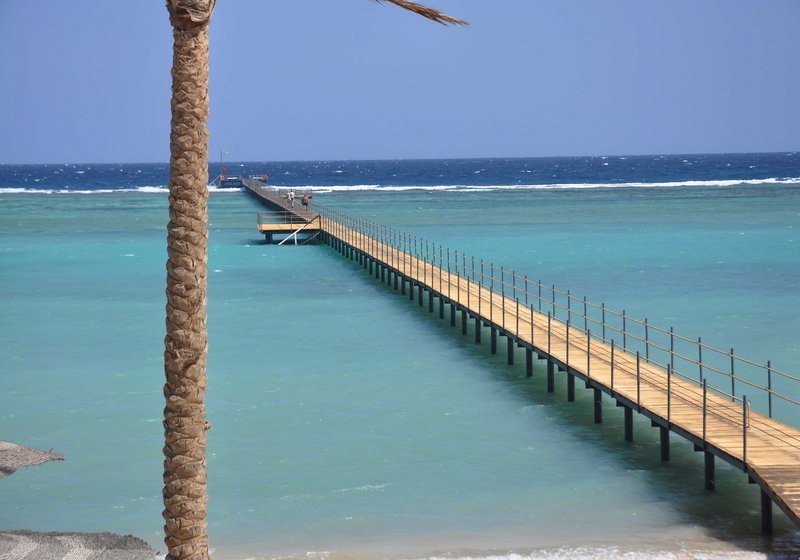 Elphistone Resort 82