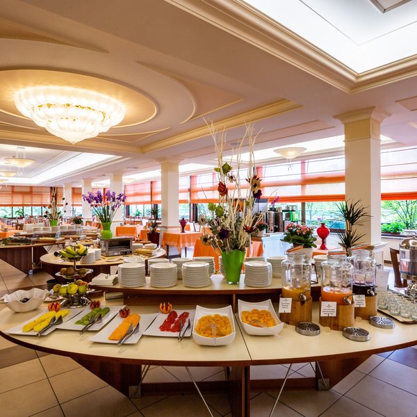 Hotel Antoniano 6
