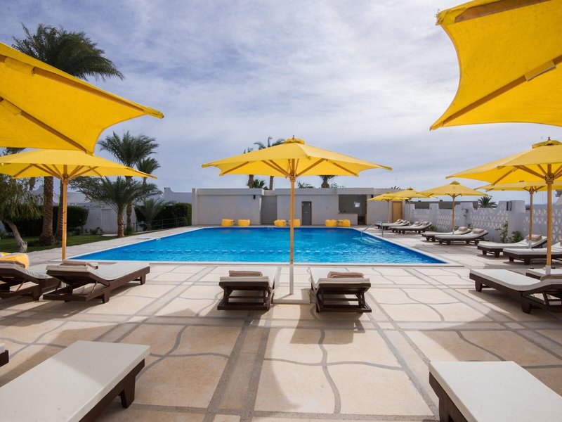 Shams Lodge Water Sports Resort 7