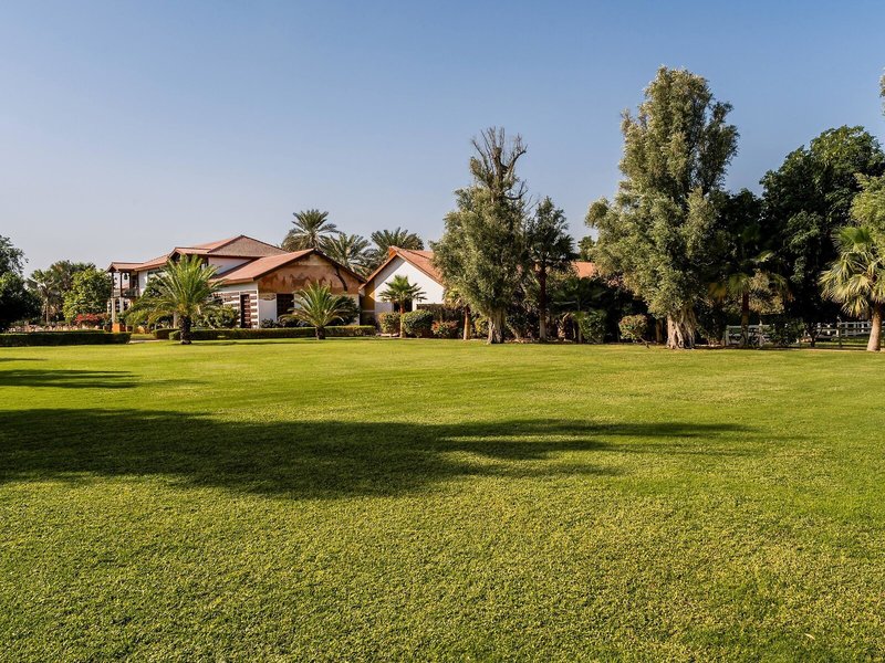 Melia Desert Palm  4