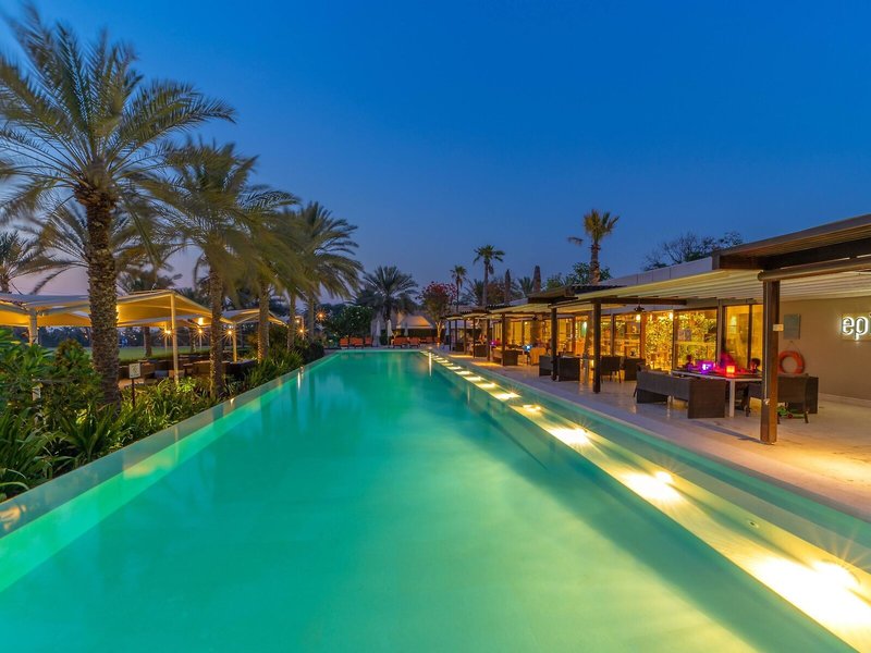 Melia Desert Palm  21