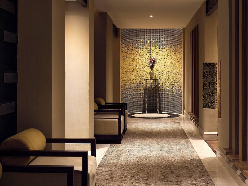 Melia Desert Palm  29