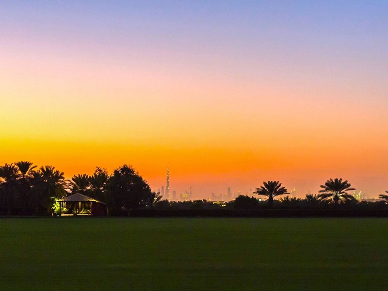 Melia Desert Palm 8 - Landscape