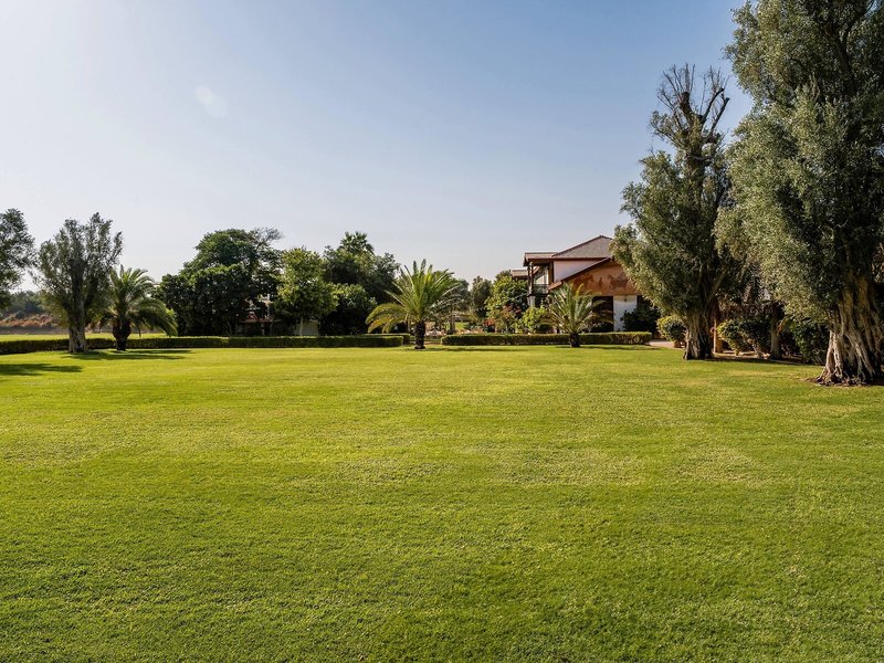 Melia Desert Palm 9 - Landscape