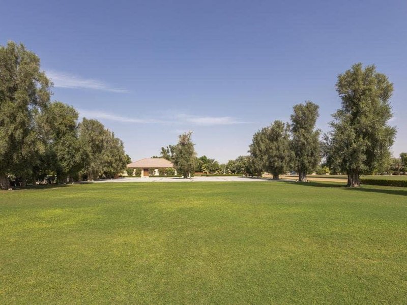 Melia Desert Palm 10 - Landscape