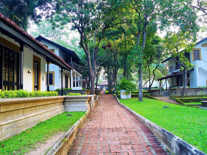 Cinnamon Lodge Habarana 1
