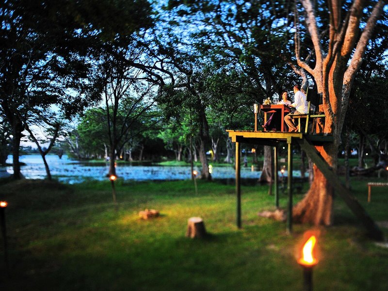 Cinnamon Lodge Habarana 5