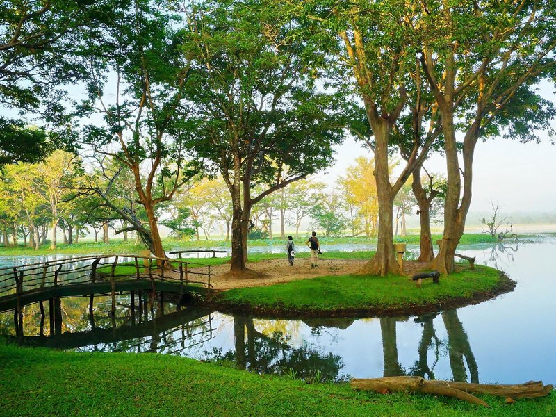 Cinnamon Lodge Habarana 6