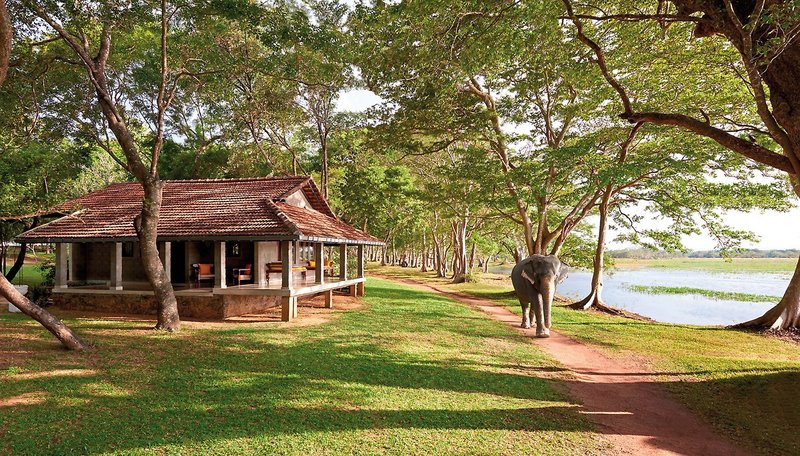 Cinnamon Lodge Habarana 6