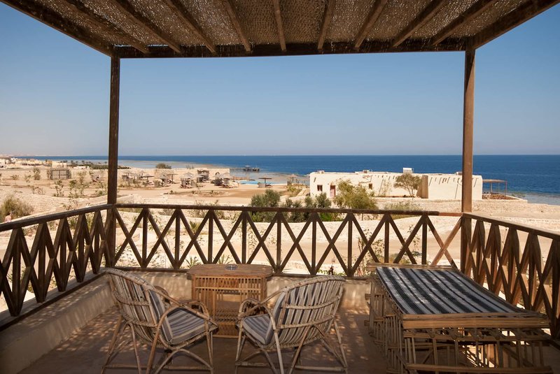 The Oasis 12