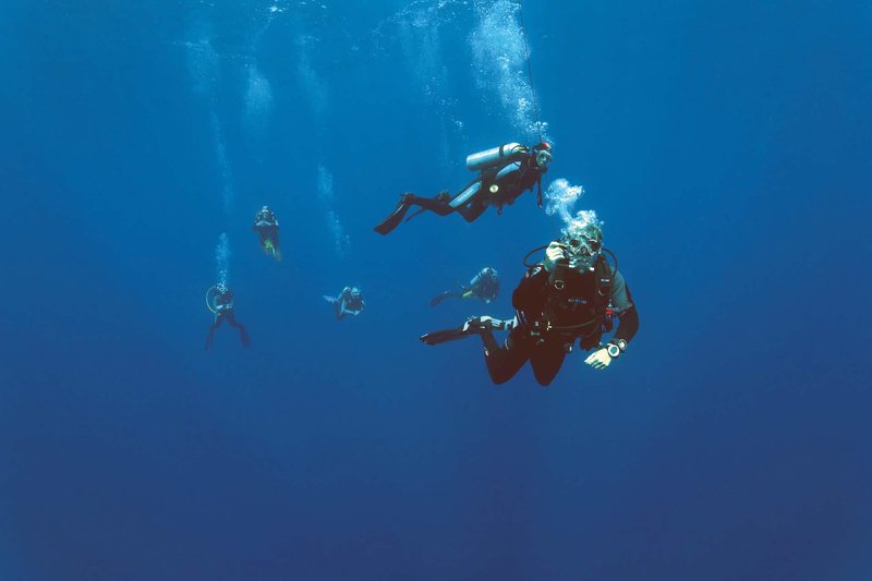 The Oasis 15