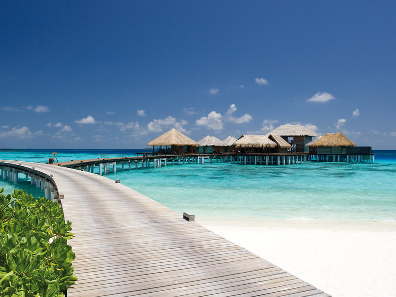 Coco Bodu Hithi 8