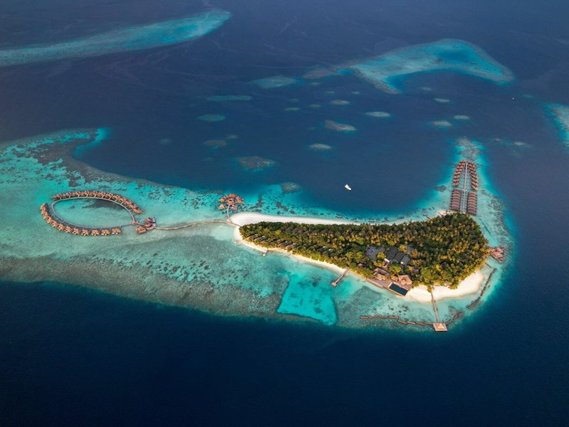 Coco Bodu Hithi 15