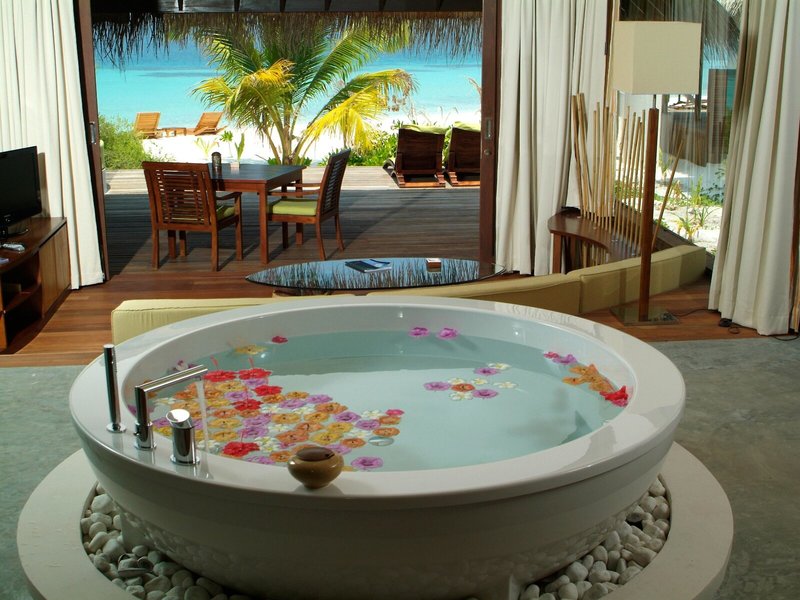 Coco Bodu Hithi 50