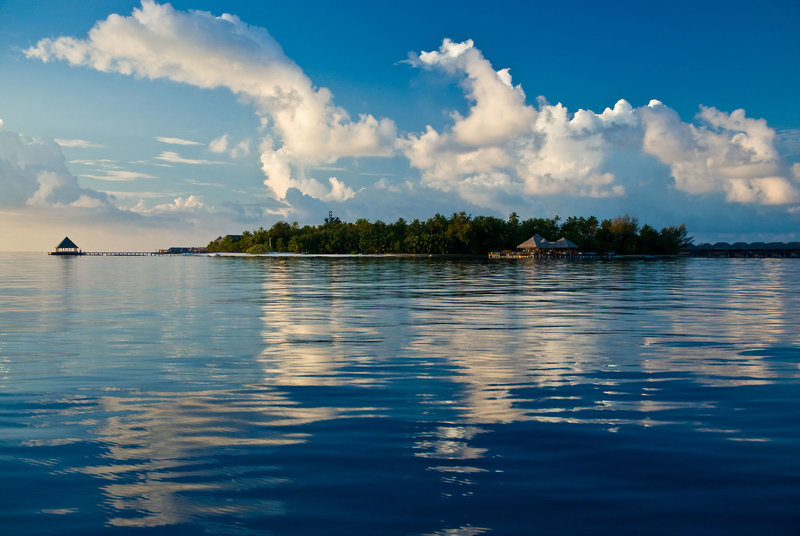 Coco Bodu Hithi 8