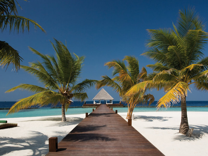 Coco Bodu Hithi 7