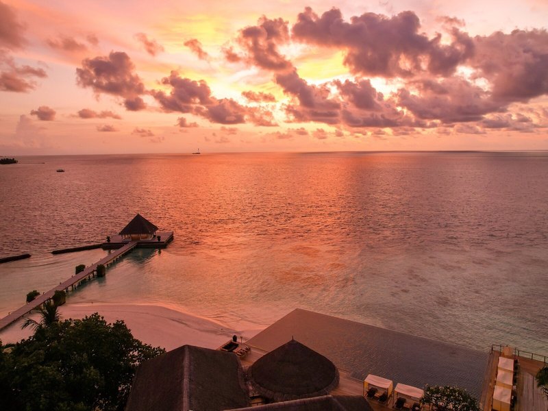 Coco Bodu Hithi 14