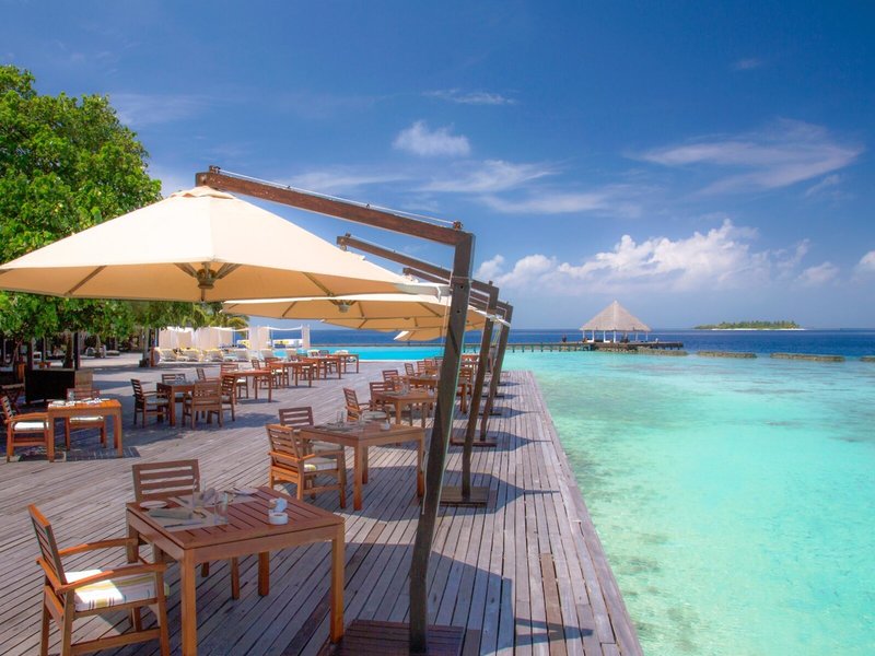 Coco Bodu Hithi 19