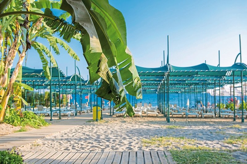 PrimaSol Telatiye Resort 20