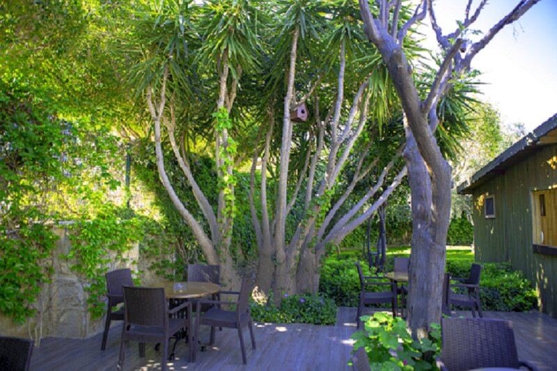 Telatiye Resort 7